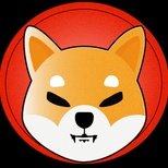 BenjaminHopkirk's tweet photo. #NewProfilePic https://t.co/wQIakPWxb1