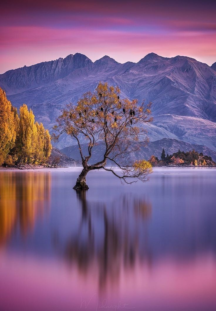 BeautyNature___'s tweet photo. Beauty of nature.
#nature #NaturePhotography https://t.co/bIrFi010do