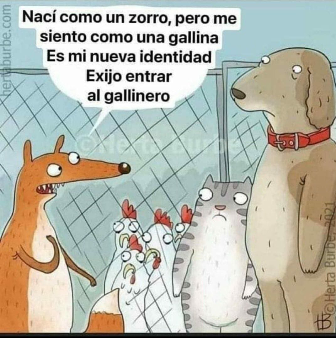 Un_beto_mas's tweet photo. Me dirijo a "todes" ustedes en un "lenguaje inclusivo" para mostrarles este claro ejemplo de lo "pendejes" que se oyen y se ven...,
#TuitUtil o #TuitInutil https://t.co/yF9dmkR5aZ