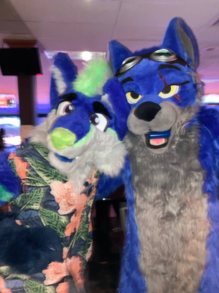 Bodolf the wolf tweet media