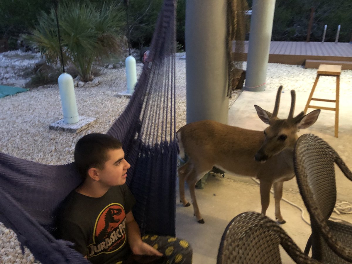 Kelly Mills Burke tweet media