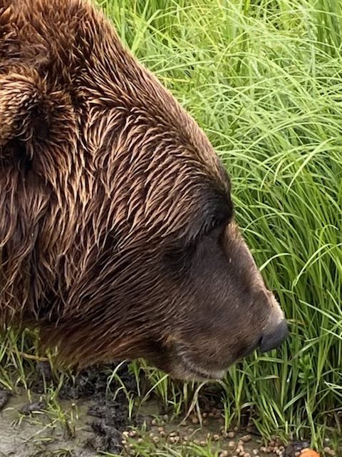 Darryl Worley tweet media