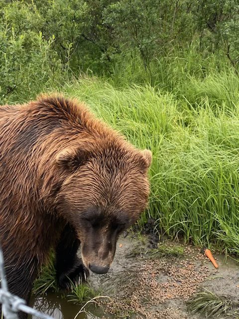 Darryl Worley tweet media