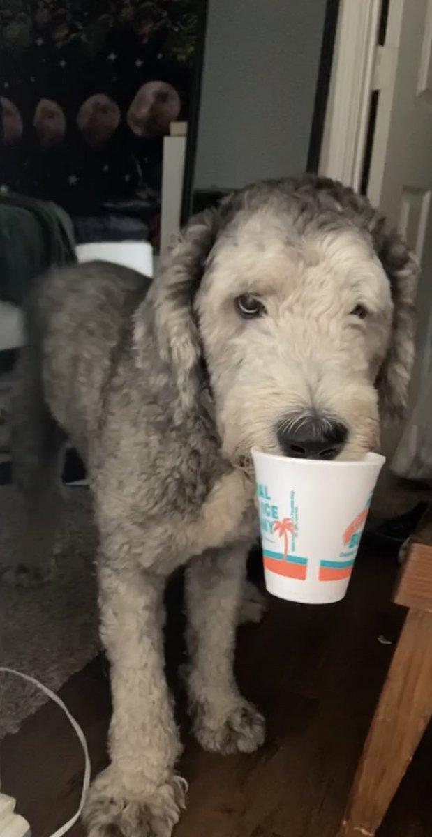 “You mean I can have it?”