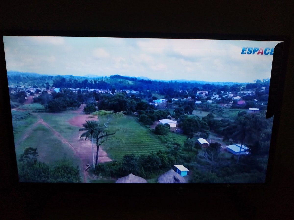 M2Conde's tweet photo. Une belle soirée sur @espaceTV_gn à la découverte des #chimpanzés et sites touristiques de la réserve forestière de #Bossou à #Lola. Ce sont des merveilles à valoriser par le @GouvGN . @LamineGuirassy #Gn224 #Guinée #Kibaro https://t.co/5yx1NFlcGy