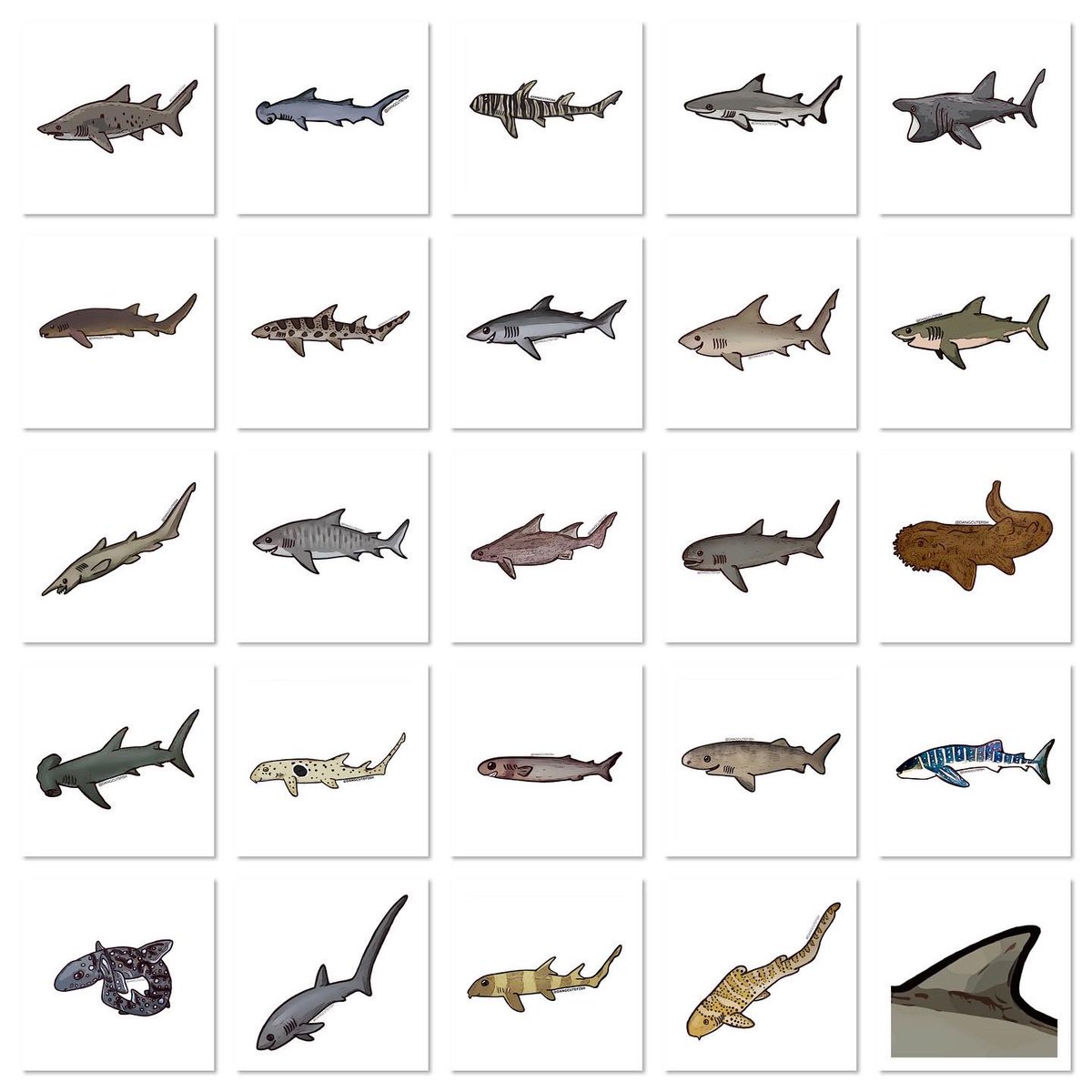 dangcutefish tweet media