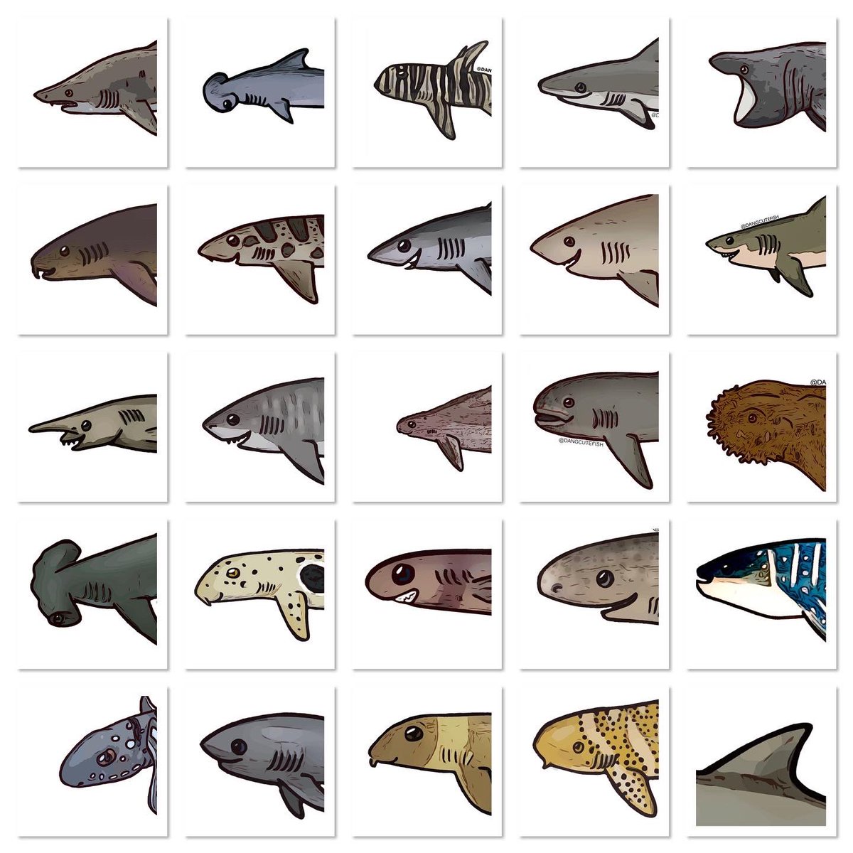 dangcutefish tweet media