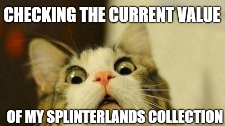 SplinterlandsHQ tweet media