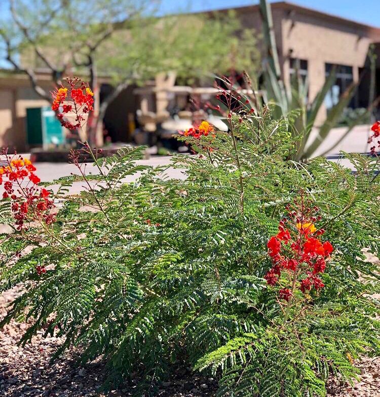 Hey Golfers just thought we’d say hi. We hope you all are having a wonderful, fun and safe summer we can’t wait to see you out here soon ! ⛳️😄 #golf #Sundancegolf