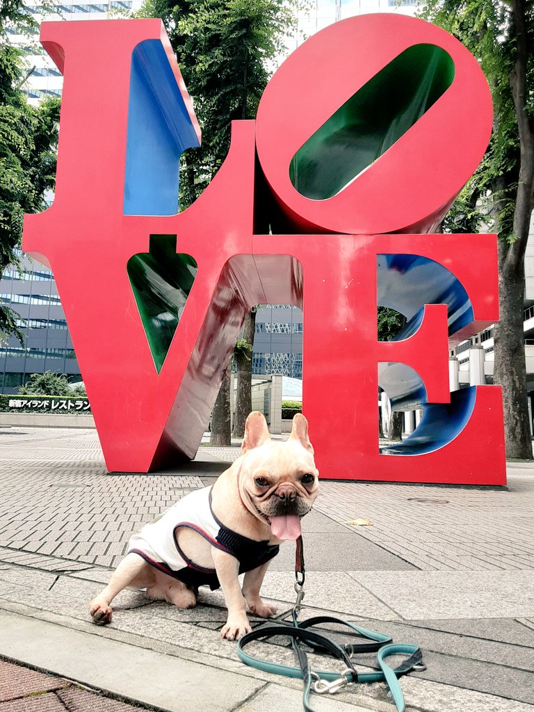 一歩一会🐾珍道中も⛑️安全第一に🍀見守ってるさ🌈 tweet media