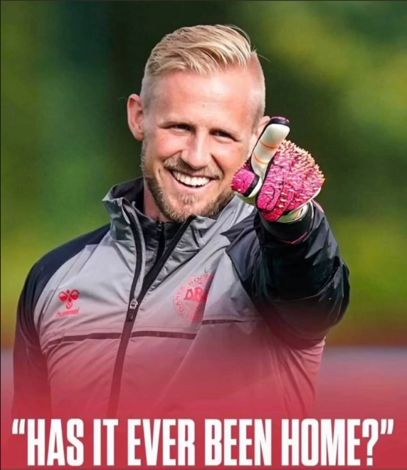 Beagle_Jensen🇩🇰 tweet media