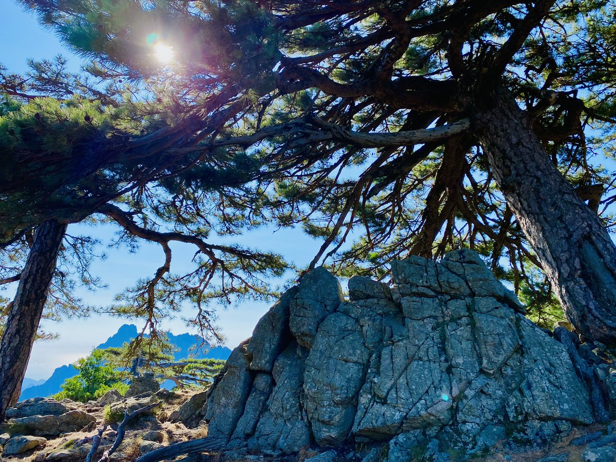 ESuigo's tweet photo. Le #GR20 et ses paysages époustouflants ! Physiquement inhumain mais humainement exceptionnel… un pied devant l’autre ! https://t.co/ZhQc9h8zY1