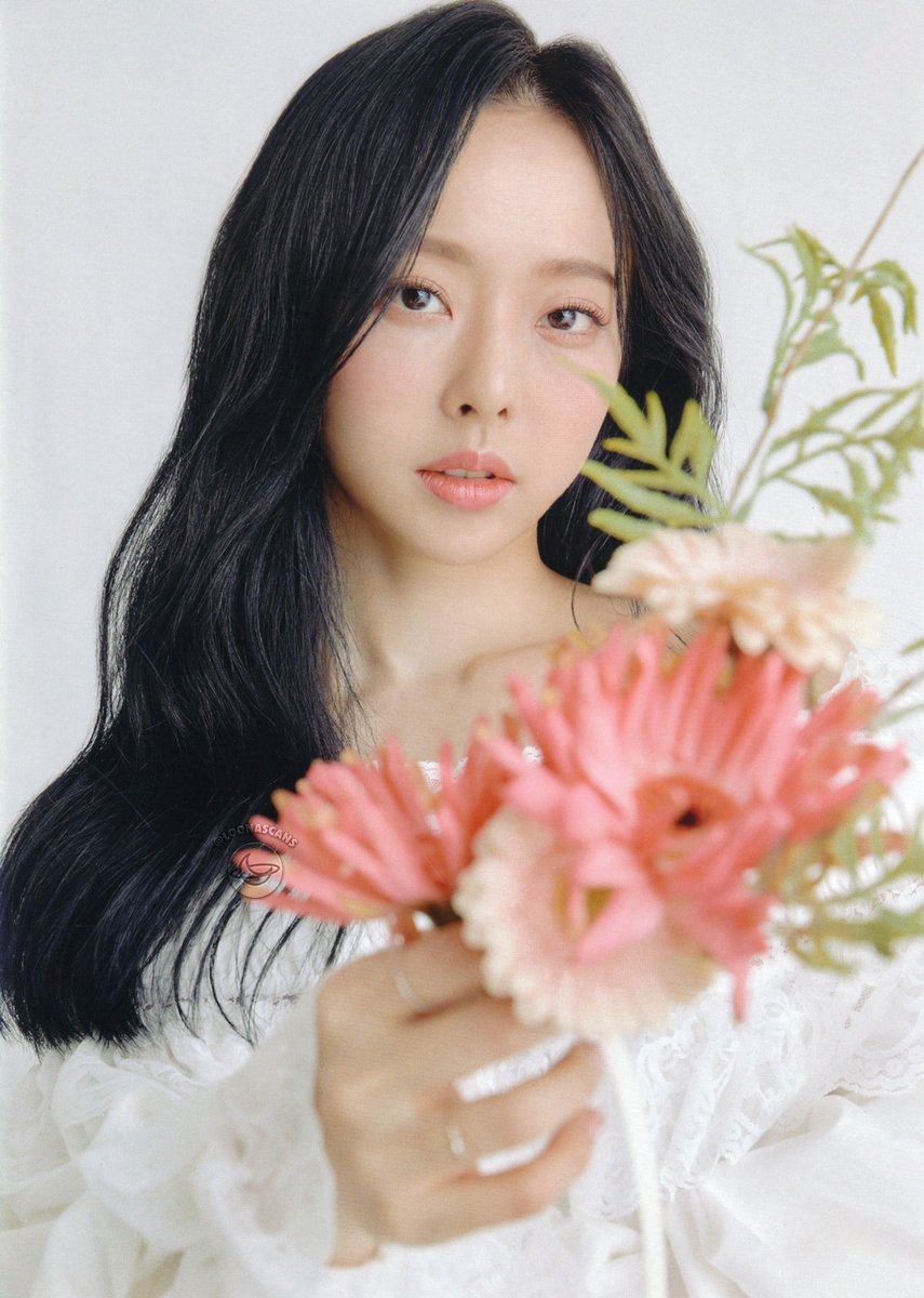 loona scans tweet media