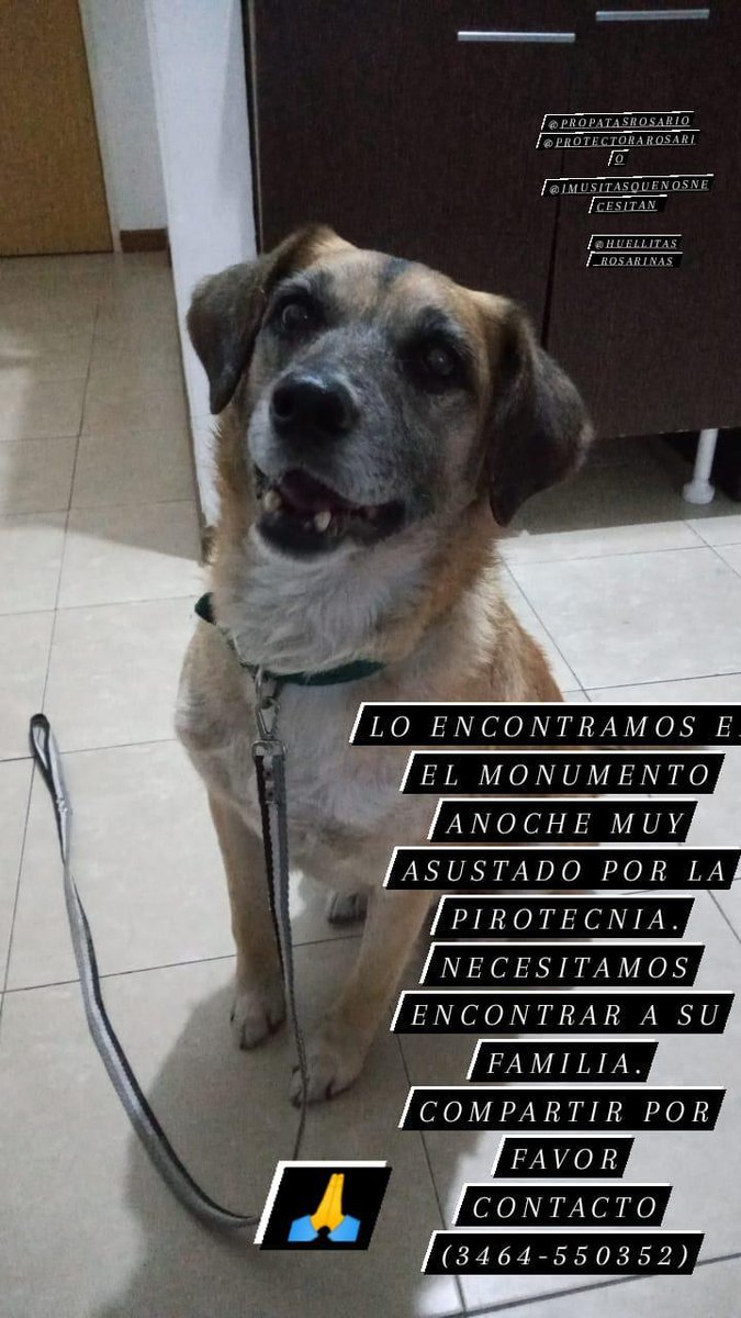 Johanna 💚 tweet media