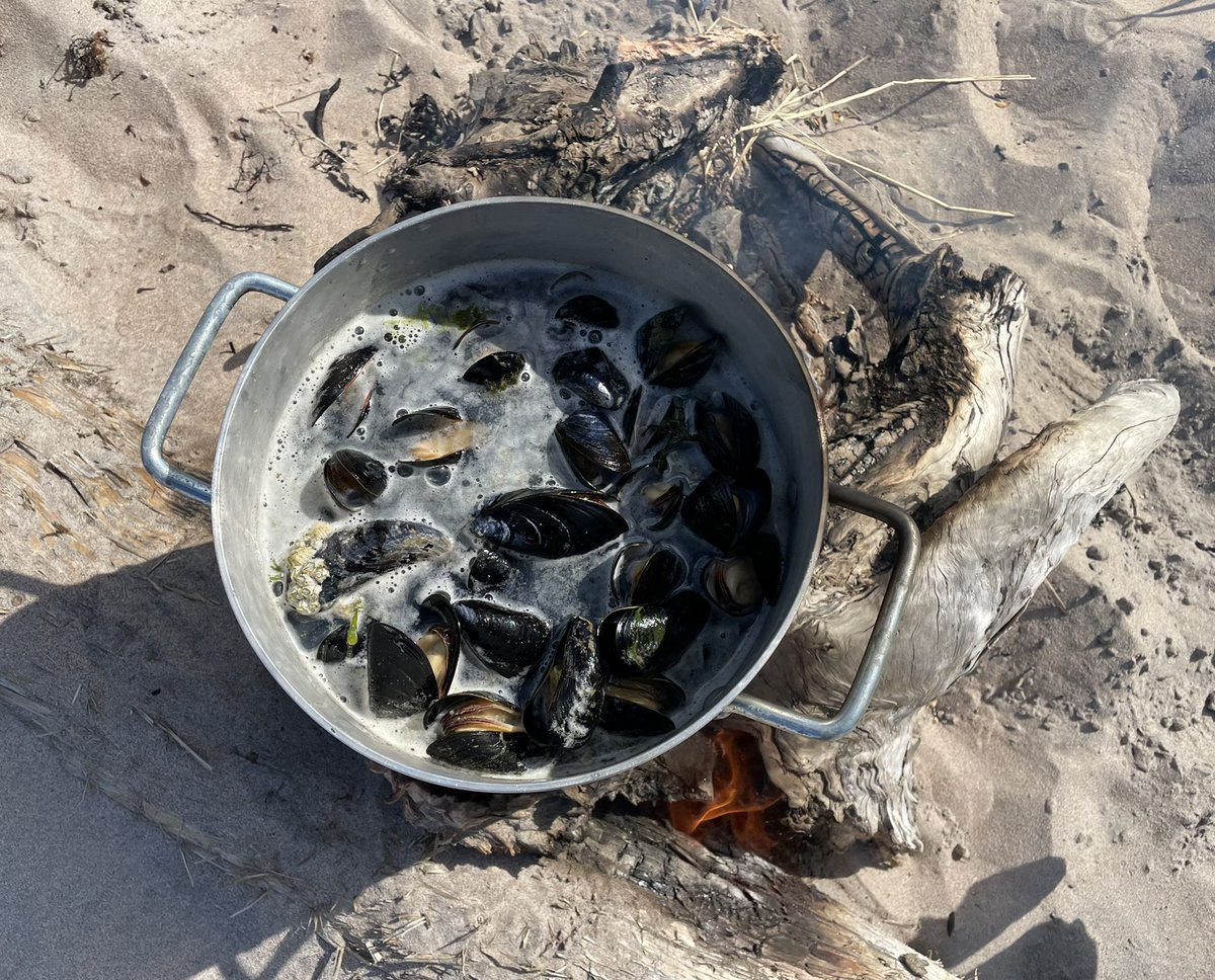 CaitlynBaikie's tweet image. My first landing on the famous Strand did not disappoint. What a gorgeous spot and view 😍 And what a feed of fresh mussels! 😋 #MealyMountains #NationalParkReserve @OurLabrador