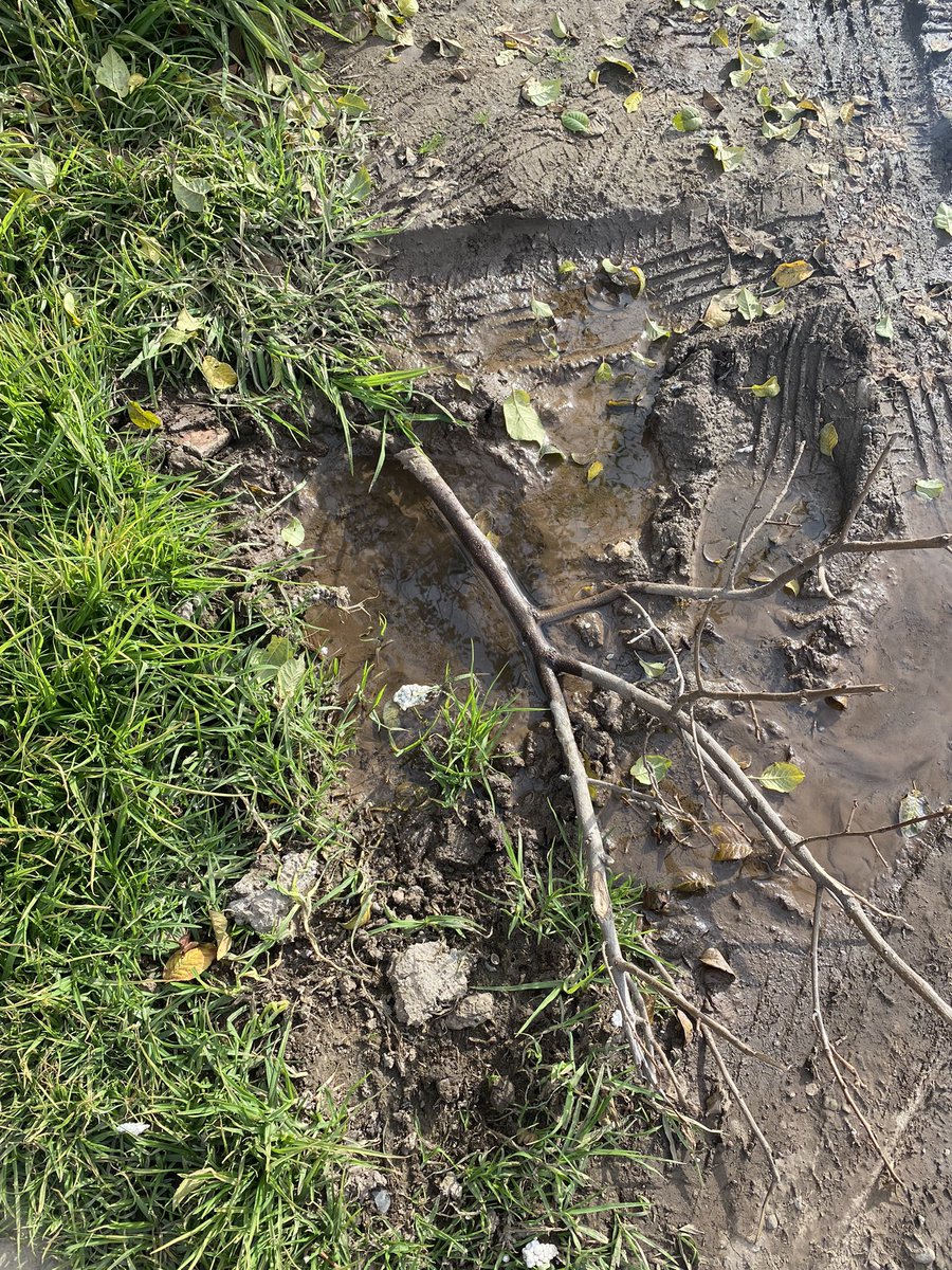 fcosalasa's tweet photo. @SMAPA_MAIPU cuando vendrán a arreglar la fuga fuera en mi casa llevo 5 reclamos ingresados y solo me indican que el técnico vendrá, tengo el pasaje lleno de agua,  ya van  2 meses y ninguna respuesta ¿que más hay que hacer para una solución?   @TomasVodanovic @Muni_Maipu https://t.co/E5vM6z3e0u