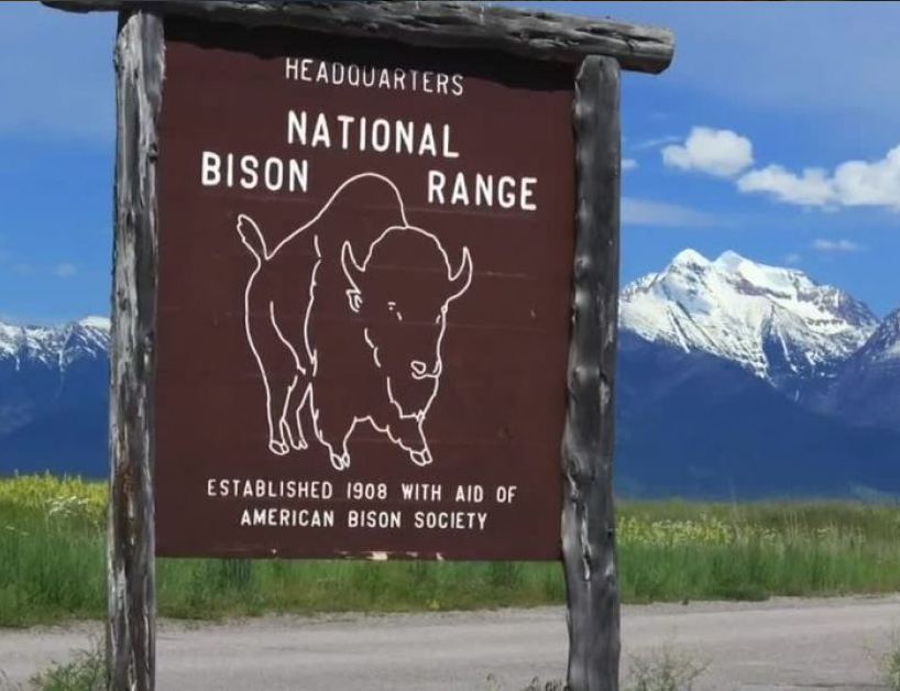 ChimpinChip's tweet photo. After seeing the Bison ranges of Montana, I'm even more bullish on $BISON. 

I'm giving 10 $BISON (currently ~$36) tokens to one lucky winner who:

1⃣ Follows myself &amp; @BiSharesFinance 🌊 
2⃣ RTs this ♻️
3⃣ Replies to this thread with a pic of a Bison 🦬

Winner selected July 14! https://t.co/Oq4kopKHRQ