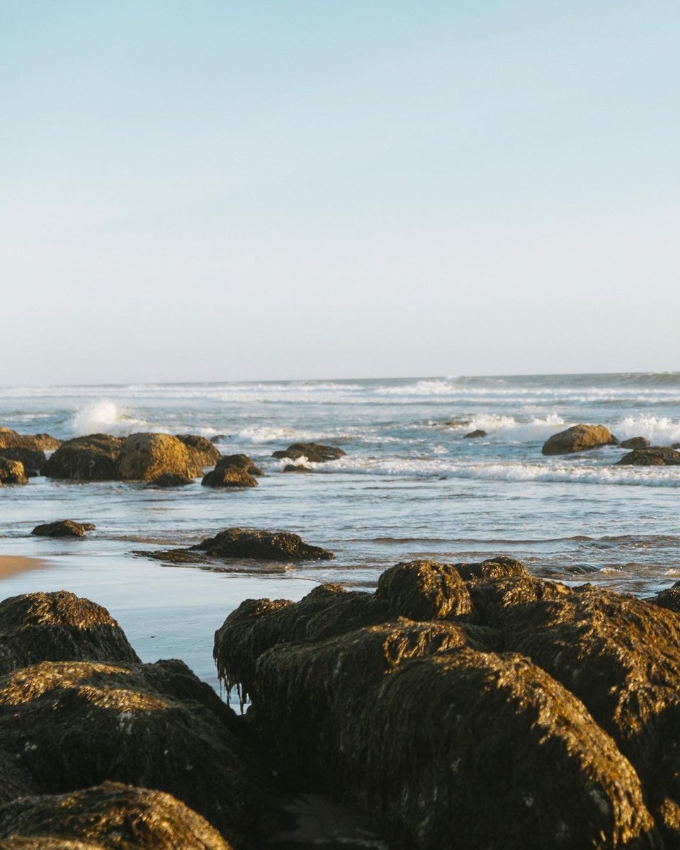 stephoto27's tweet photo. Lincoln City is such a unique and beautiful gem in Oregon. 

Did you know that Lincoln City was named in honor of former U.S. President Abraham Lincoln? 🇺🇸 https://t.co/PNAvJtzVxh
