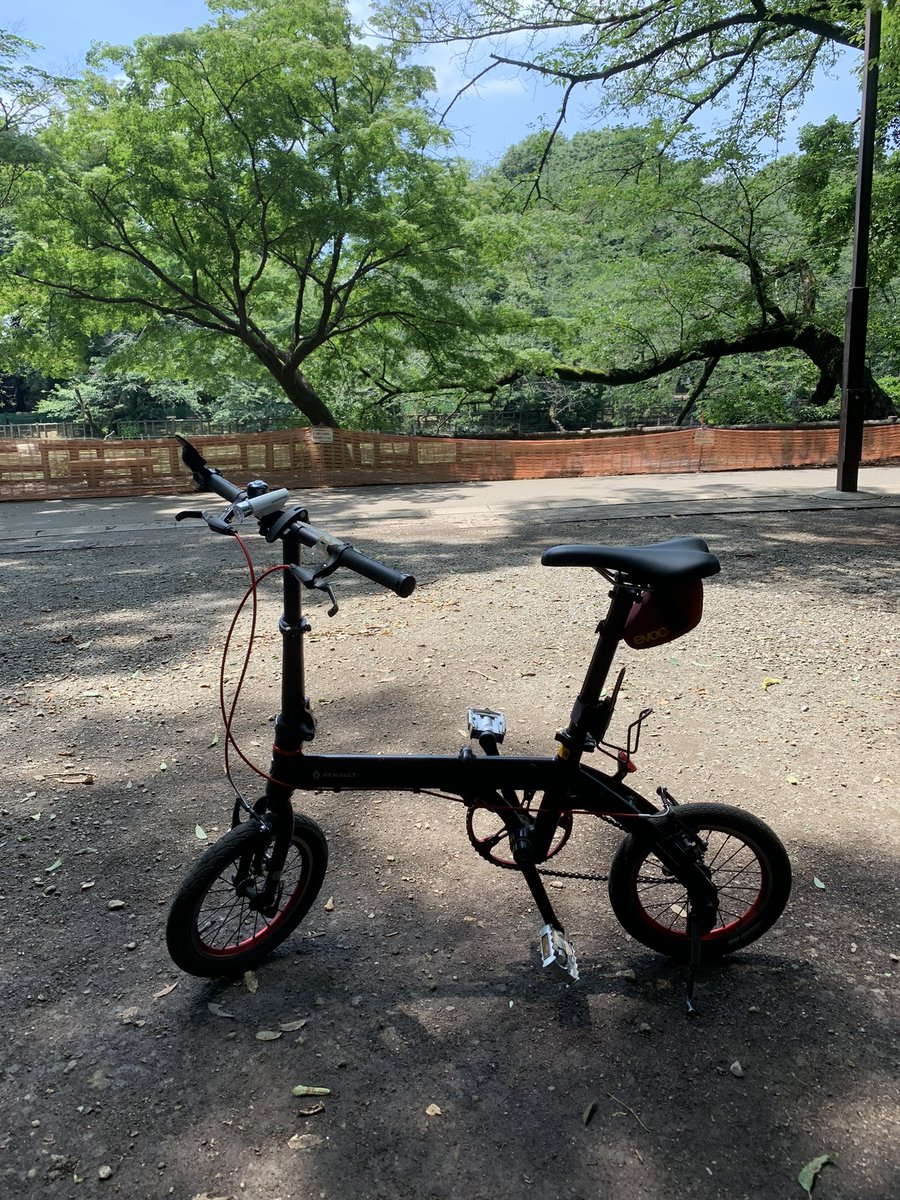 Aichi 井の頭公園 久しぶりの自転車散歩 季節はすっかり夏ですが自転車には向かない季節です