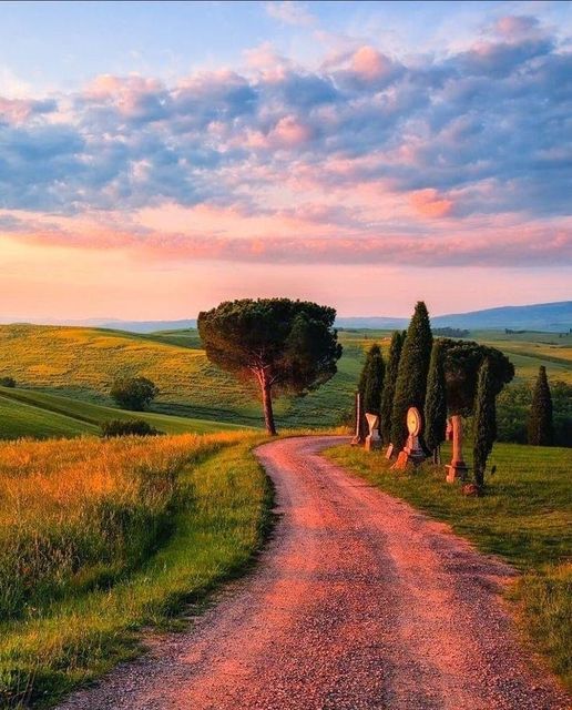 OlgaLosad's tweet photo. Ve despacio y disfruta de la vida. No sólo se pierde el paisaje yendo rápido, también se pierde, el sentido de la orientación. https://t.co/JFWViCfhzY
