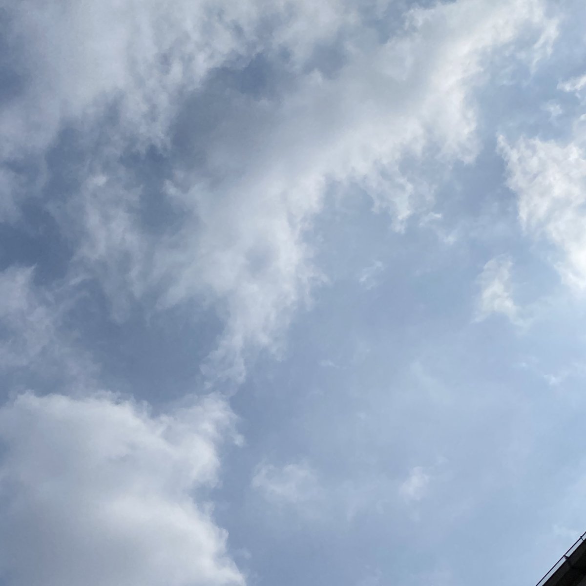 おはようございます☀
ジメジメして暑いけど、晴れ間も見えてます💡✨
今日も元気に行ってきます😆