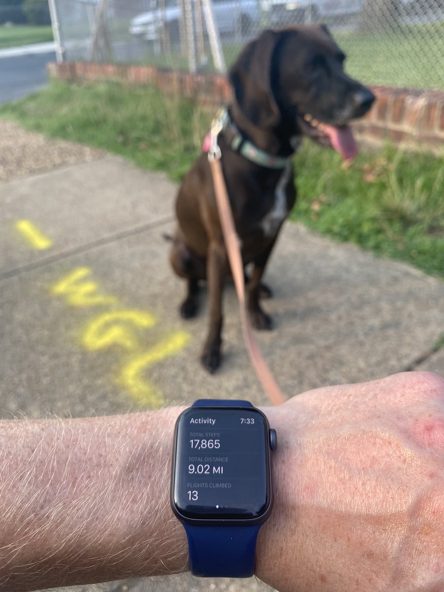 JamesTerrell's tweet photo. Walking, running, golfing, and lots of sweat later... 9 miles complete ✅ @MorgansMessage #ninefornine https://t.co/DGxIqlwRQR