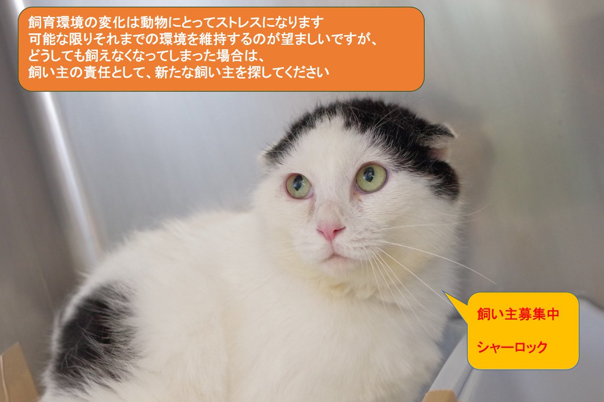 川崎市動物愛護センターanimamallかわさき ペットは最期まで責任をもって飼いましょう 飼い主にはペットが寿命を迎えるまで飼い続ける責任があります 引越しや入院 家族の介護など人生の転機は唐突に 誰にでも訪れる可能性があります 自分の生活が 川崎市動物愛護センターanimamallかわさき ペットは最期まで責任をもって飼いましょう 飼い主にはペットが寿命を迎えるまで飼い続ける責任があります 引越しや入院 家族の介護など人生の転機は唐突に 誰にでも訪れる可能性があります 自分の生活が