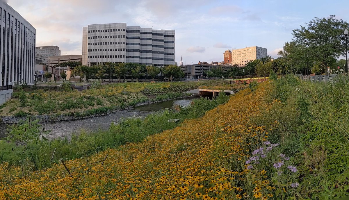 Brandon J. McKoy tweet media