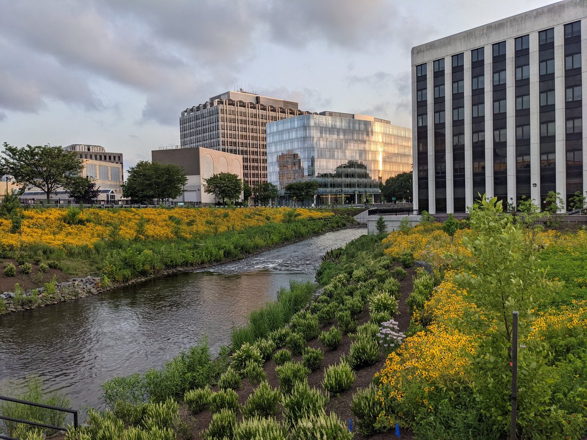 Brandon J. McKoy tweet media