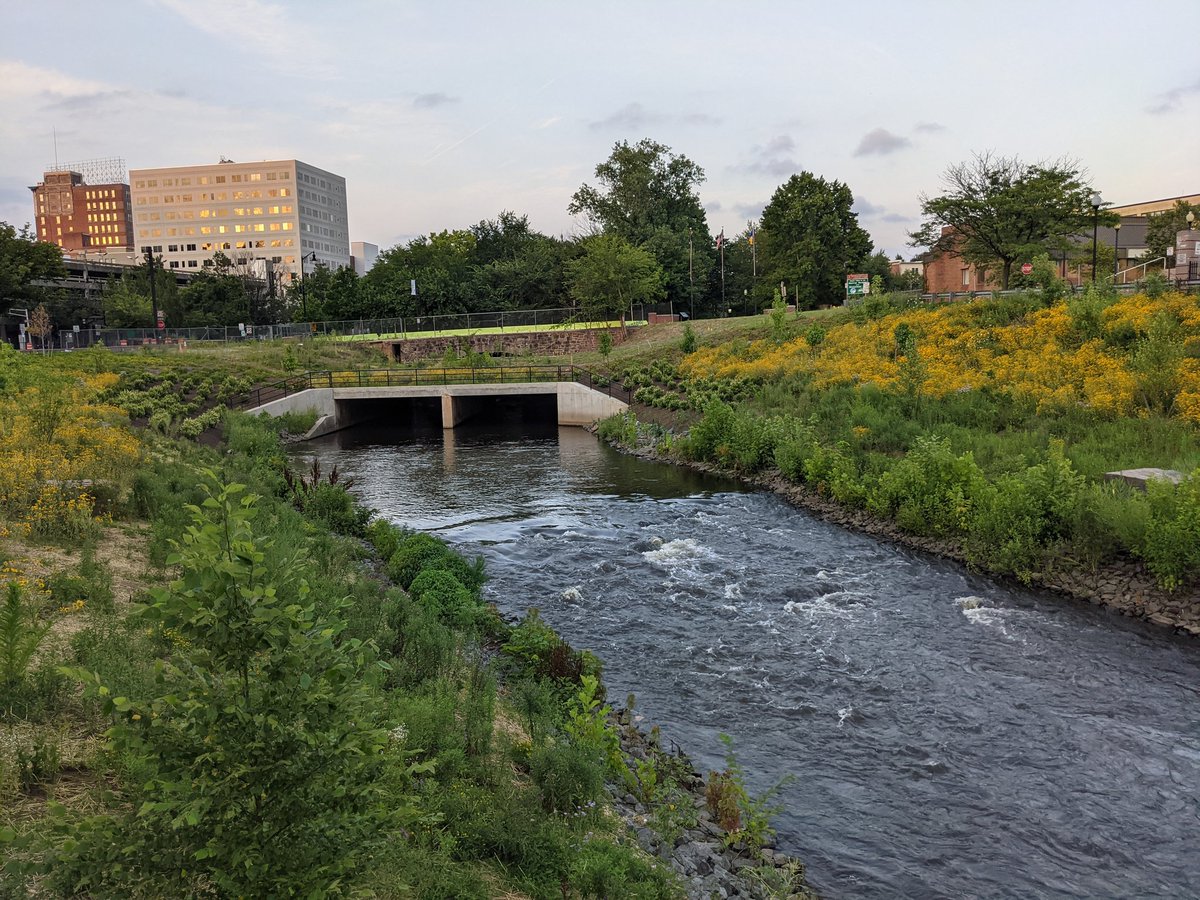 Brandon J. McKoy tweet media