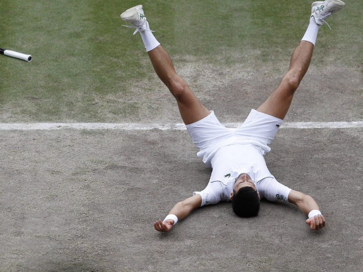 Novak Djokovic triumphs at Wimbledon to secure record equalling 20th major