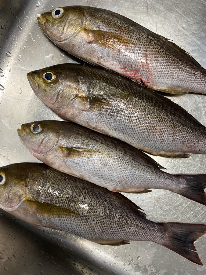 イサキを使った人気レシピ集 簡単なムニエルや煮付けなどを紹介 お食事ウェブマガジン グルメノート