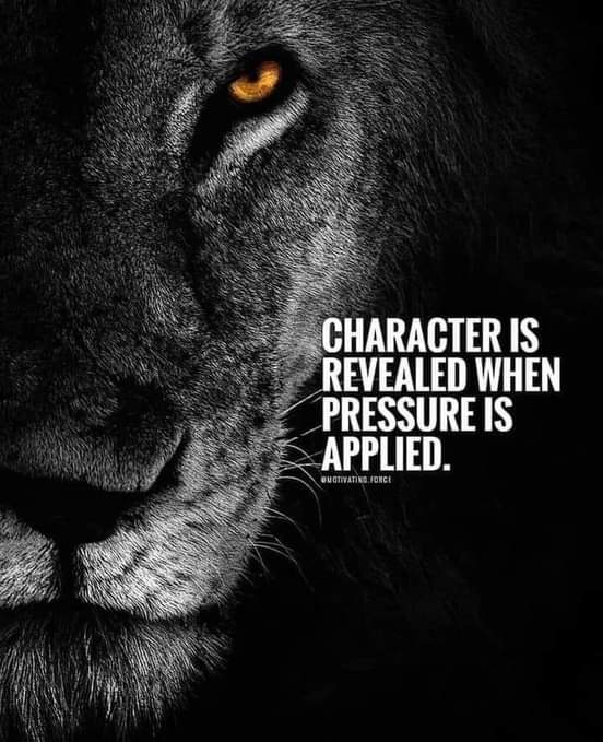 OPoet88's tweet photo. TRUTH REVEALED https://t.co/QfYVox55gq
