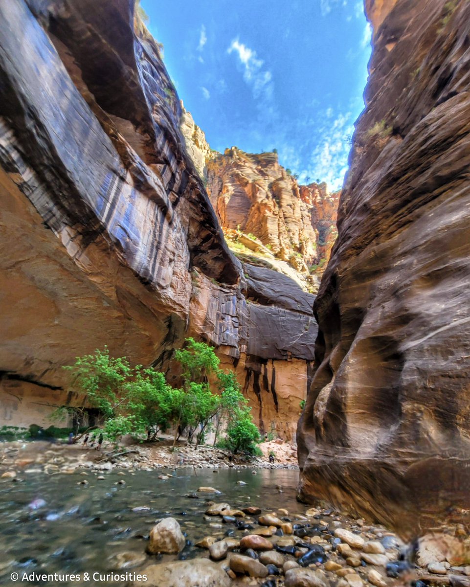 AdventuresCuri1's tweet photo. Another one off the bucket list✔
#adventuresandcuriosities #wanderlusting #adventureculture #voyaged #wondermore #hellofrom #thegreatoutdoors #roamtheplanet #wheretonext #wanderfolk #adventureawaits #lensbible #amazingplaces #wildernessculture #naturephotos #inspiredbynature https://t.co/gxqY8zAE4H