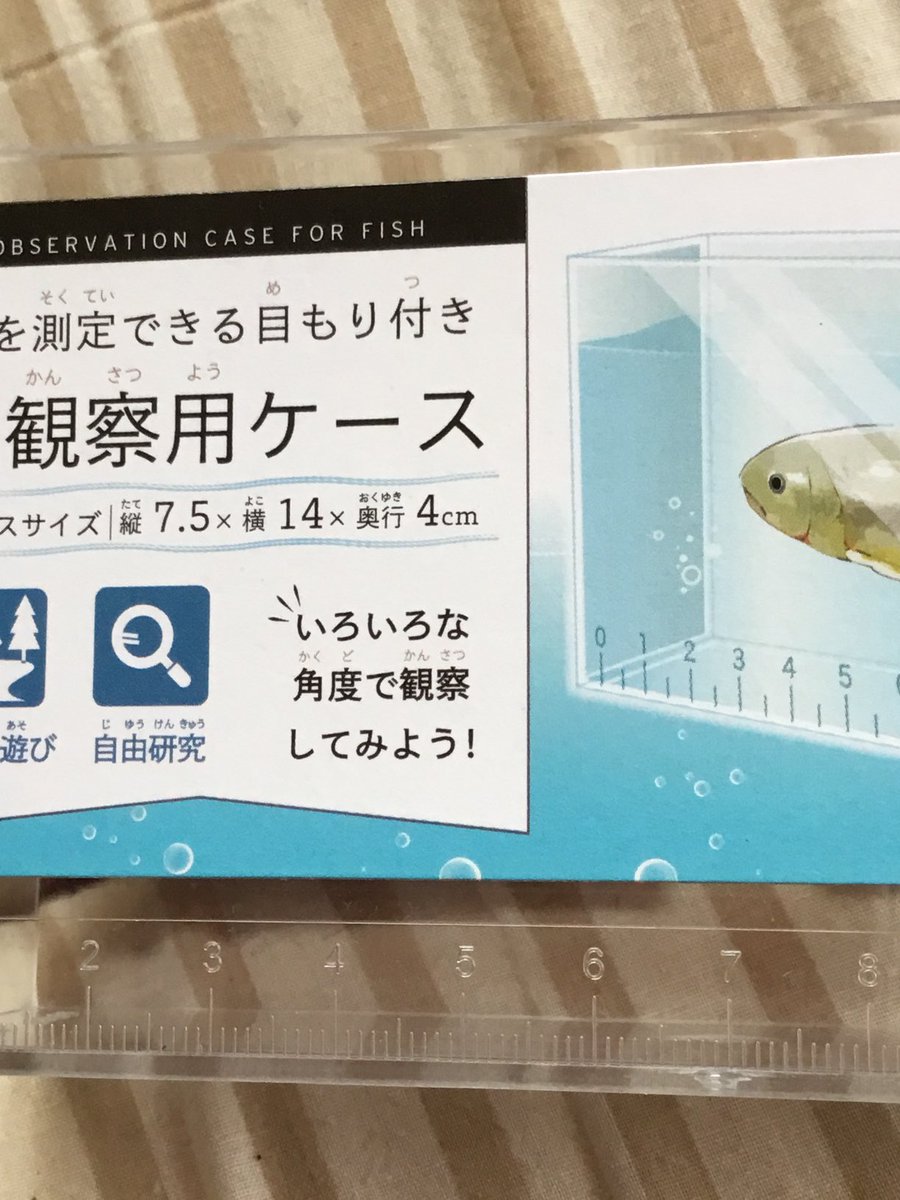 Bestpixtajpm1d3 メダカ の 王国 メダカの王国 Bestpixtajpm1d3 メダカ の 王国 メダカの王国
