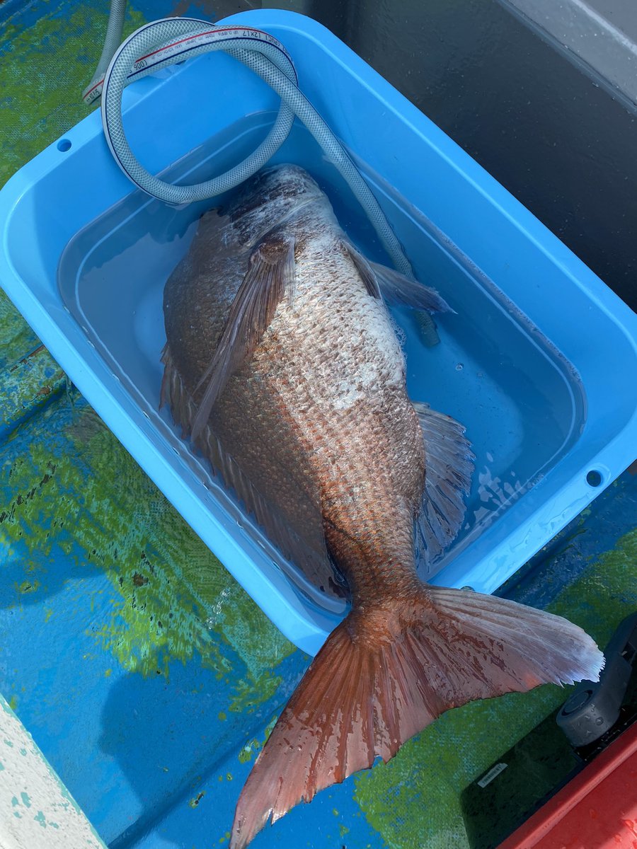 根魚五目 根魚五目