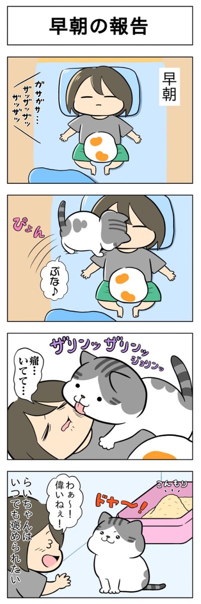 『ふうらい日和』深夜の報告│フェリシモ猫部 https://t.co/R1MRM7bQTs 