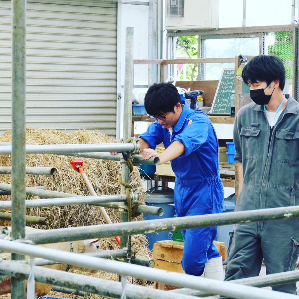 酪農学園大学 のリアルタイムtwitter ツイッター ほぼ一覧