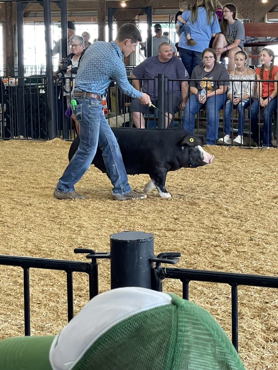 Day 2 of the fair has been a great day to watch members exhibit their breeding hog projects.