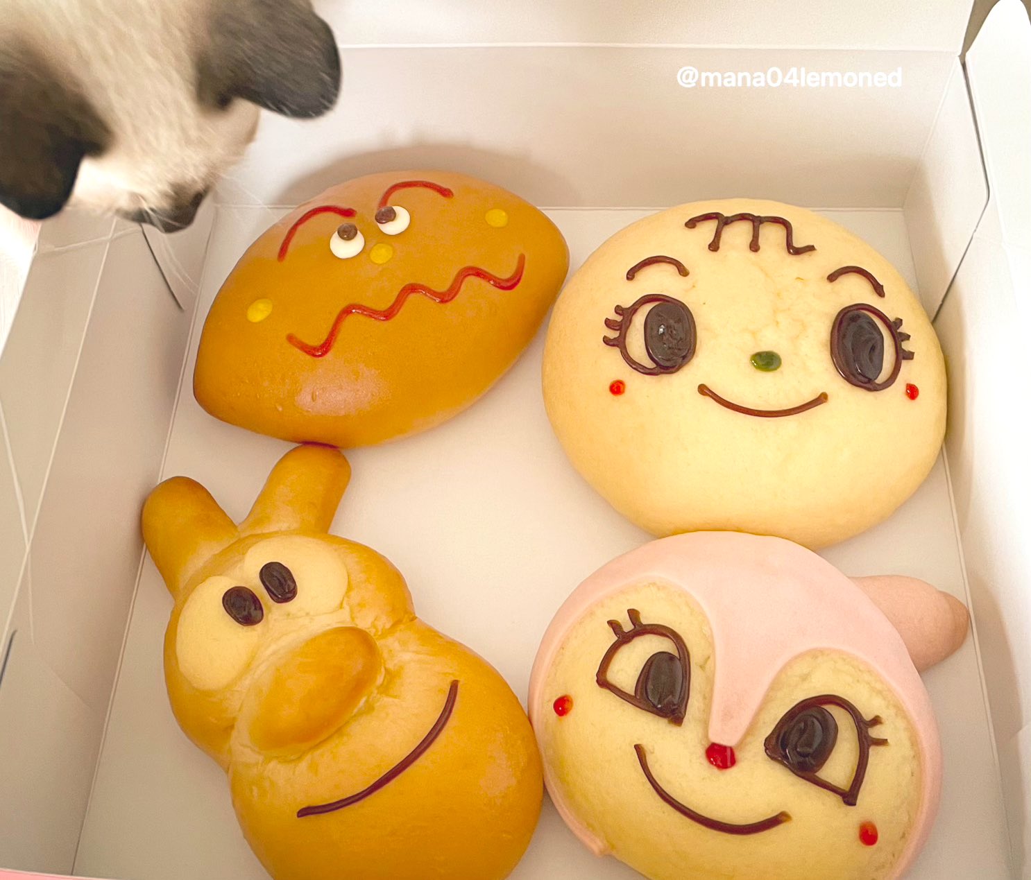 名犬チーズ Twitter Search Twitter