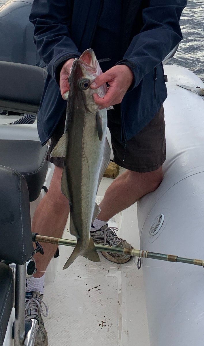 De bon matin face à Penmarch sous le regard de la communauté des phoques installés sur les rochers des Etocs, une première expérience de pêche en mer avec un peu de réussite...Carpe Diem ! 
Prochain défi, rejoindre les Etocs en canoë à la rencontre respectueuse de ses locataires.