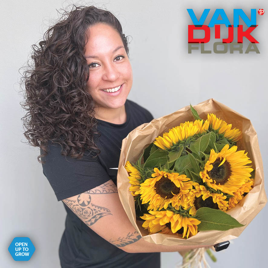 PRODUCT IN DE PICTURE: ZONNEBLOEM 🌻
De zonnebloem wakkert het ultieme zomergevoel aan! Wist je dat de bloem in de natuur overdag meedraait met de zon? Deze gele schoonheid staat symbool voor de zon en de liefde. 
 
#vandijkflora #floralhappiness #zonnebloem #zomer