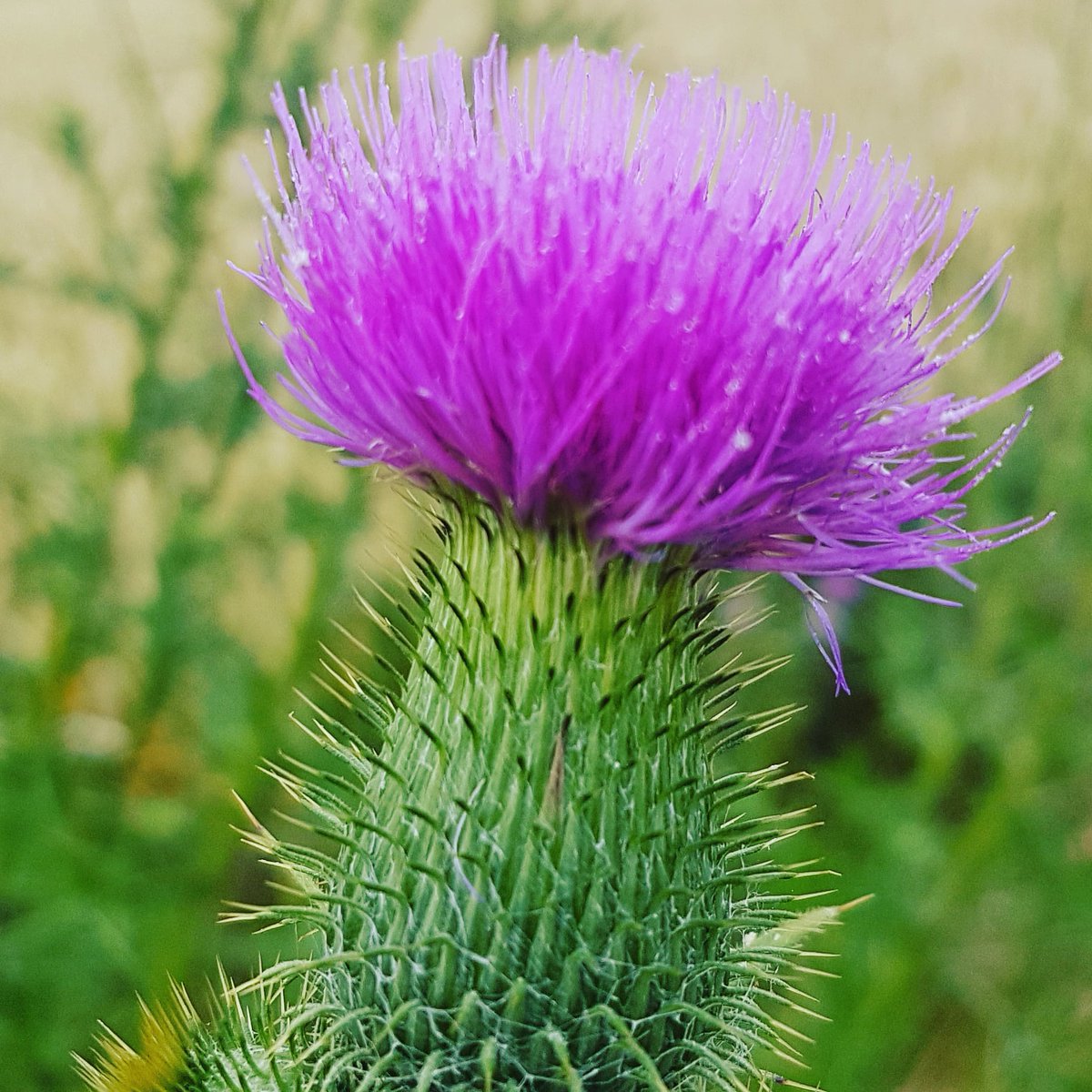 InspirationWald (@inspirationwald) on Twitter photo 