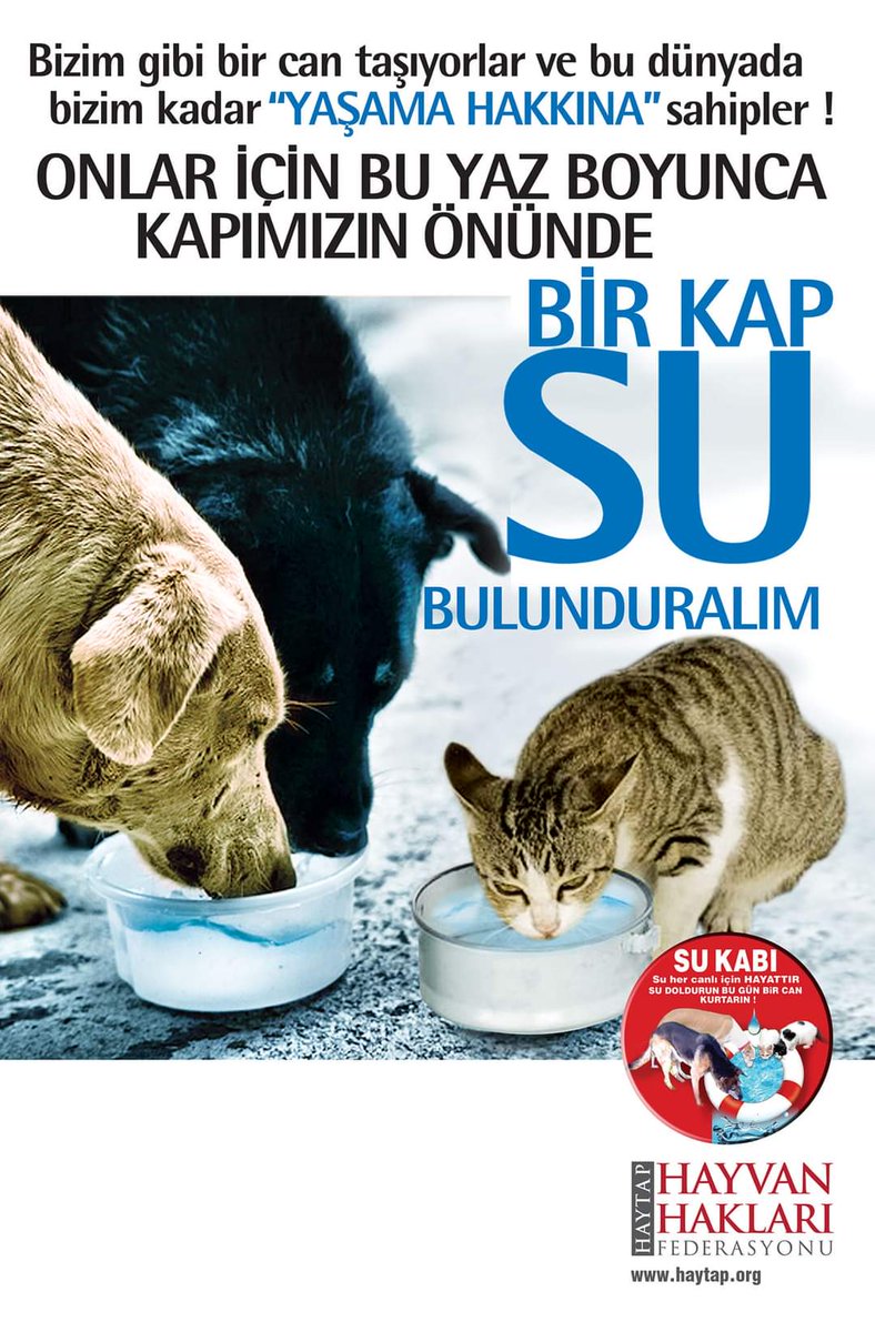 engl4696726's tweet photo. SU, SU, SU LÜTFEN HAYVANLAR İÇİN MERHAMET DİLENİYORUM https://t.co/lGYs0KfbYs