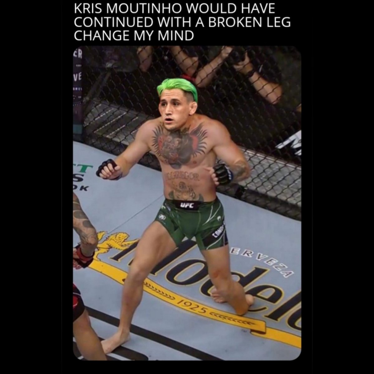 Lesterrific tweet media