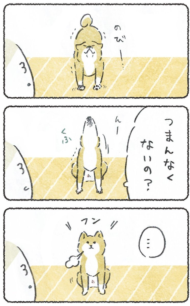 雨だから室内遊びしたい飼い主と、
べつにそんな気分でもない犬

(リプにつづきのURL貼ります) 