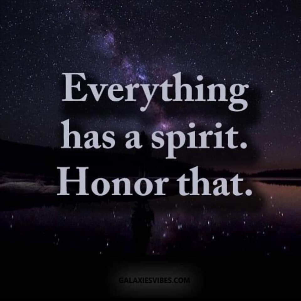 onebrainstem's tweet image. 