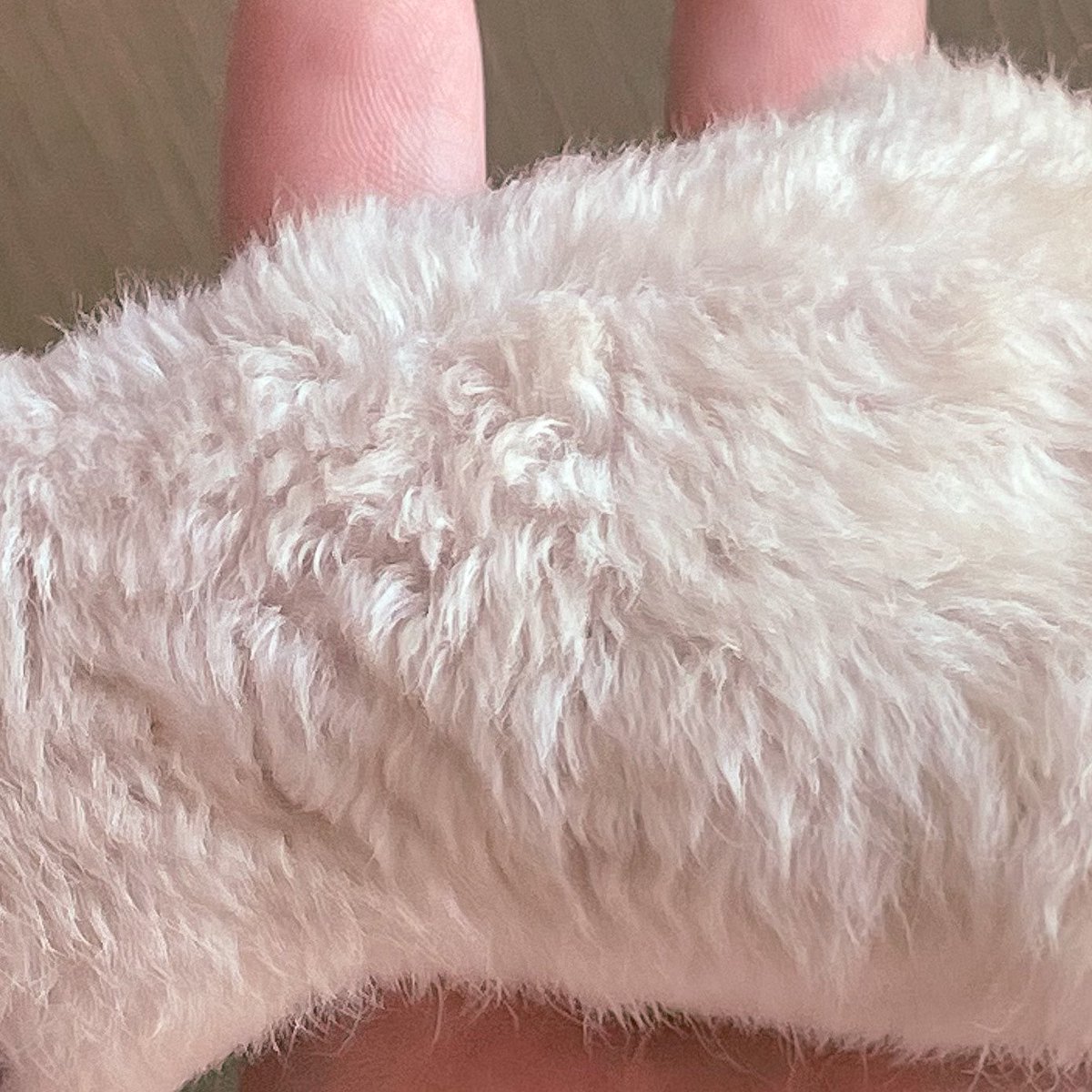 more ☁️☁️☁️
#rat #petrat #ratbreeder