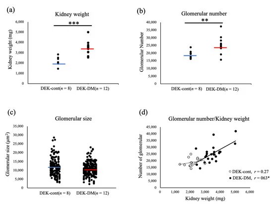 Biology_MDPI's tweet image. Characterization of Enlarged Kidneys and Their Potential for Inducing Diabetes in DEK Rats mdpi.com/1182126 ##mdpibiology via @Biology_MDPI @日本獣医生命科学大学 @Nippon Veterinary and Life Science University

#diabetes #animal_model #kidney #nephron_number