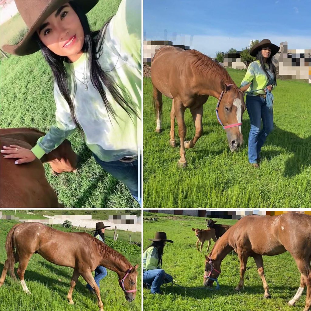 Noemi_Casarezc's tweet photo. Tiempo de calidad con mi #Cachetitos ¡Lo extrañaba así! 🐴🤎💚💙 https://t.co/lLQwZwSdmB